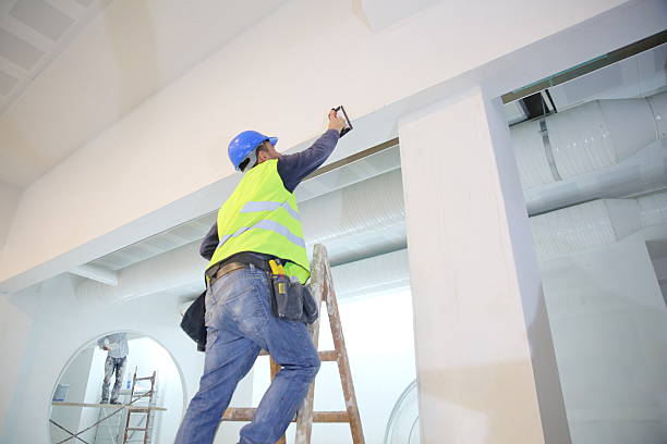 Best Drywall Installation  in Saint Johns University, MN